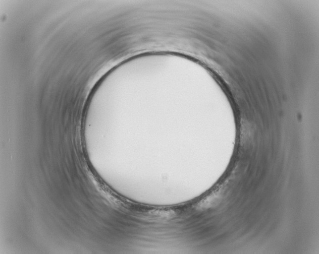 X0000059061513200511041715