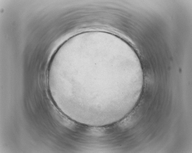 X0000059061514200511041715