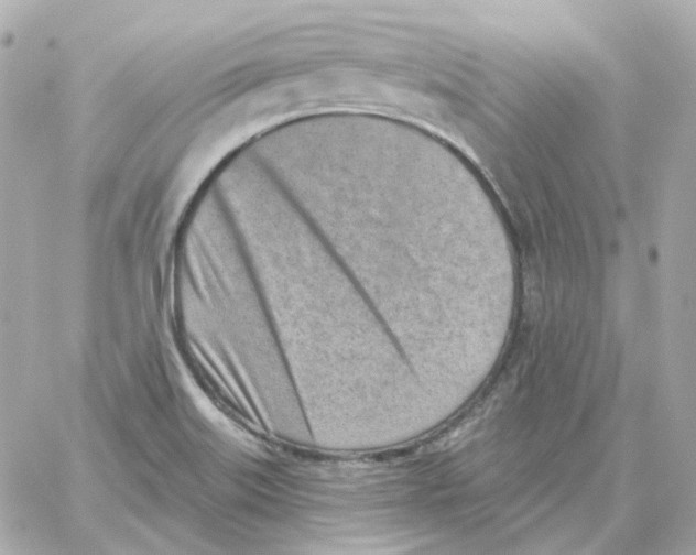 X0000059061515200511041715