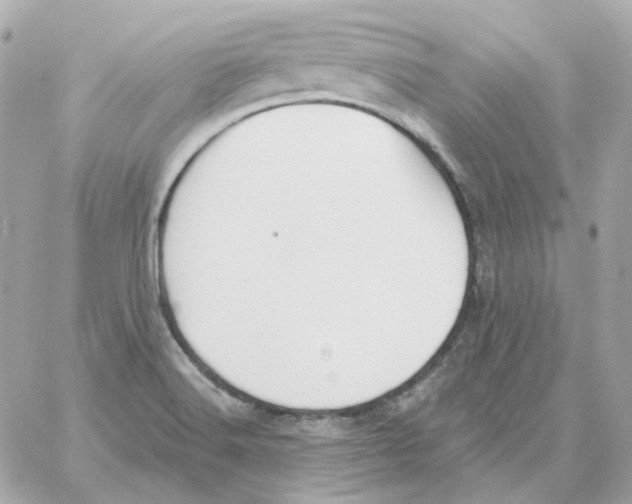 X0000059061516200511041715