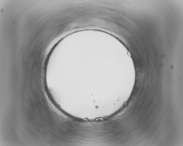 X0000059061518200511041715