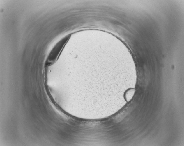 X0000059061519200511041715