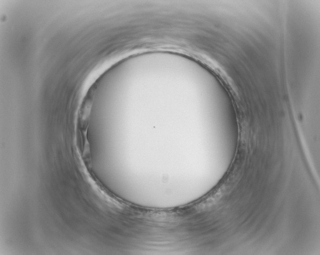 X0000059061520200511041715