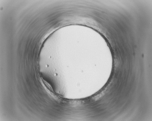 X0000059061521200511041715