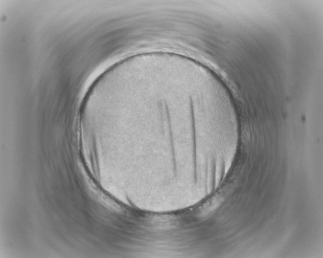 X0000059061522200511041715