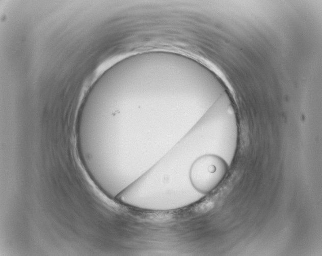 X0000059061525200511041715