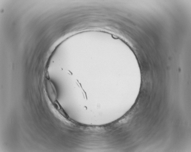 X0000059061526200511041715