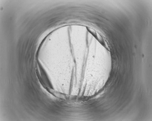 X0000059061527200511041715