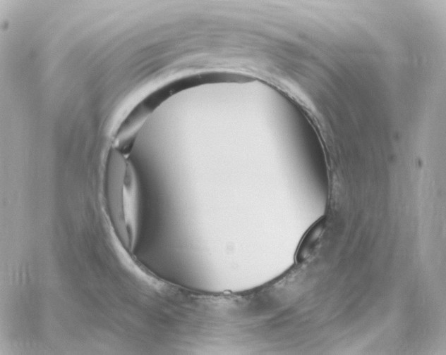 X0000059061528200511041715