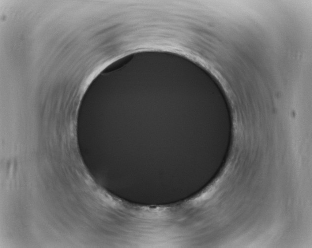 X0000059061529200511041715