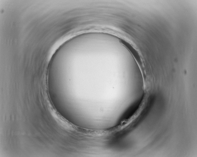 X0000059061530200511041715