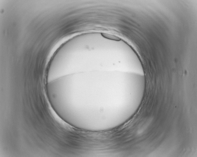 X0000059061531200511041715