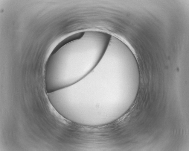 X0000059061532200511041715