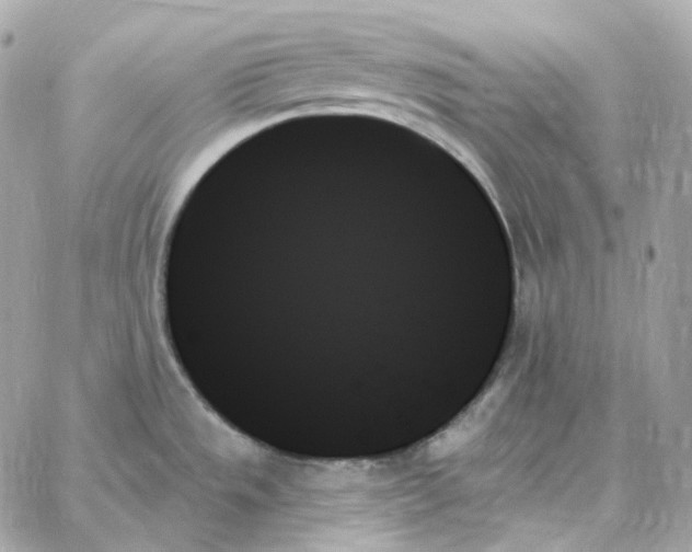 X0000059061533200511041715