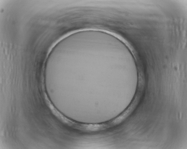 X0000059061534200511041715