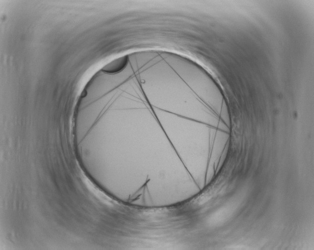 X0000059061535200511041715