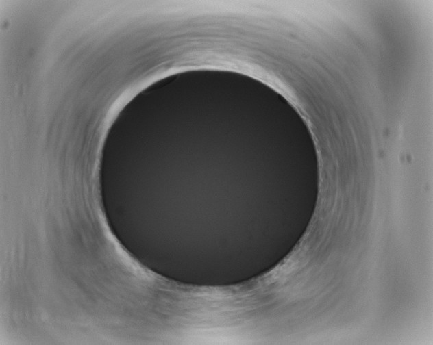 X0000059061536200511041715