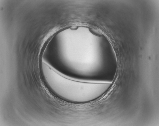 X0000059070008200510070917