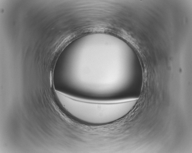 X0000059070013200510070917