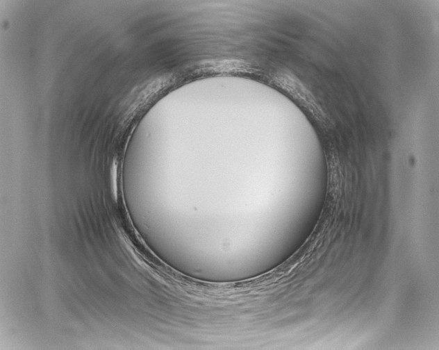 X0000059070014200510070917