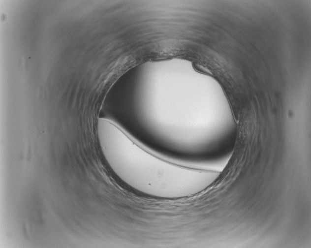 X0000059070044200510070917