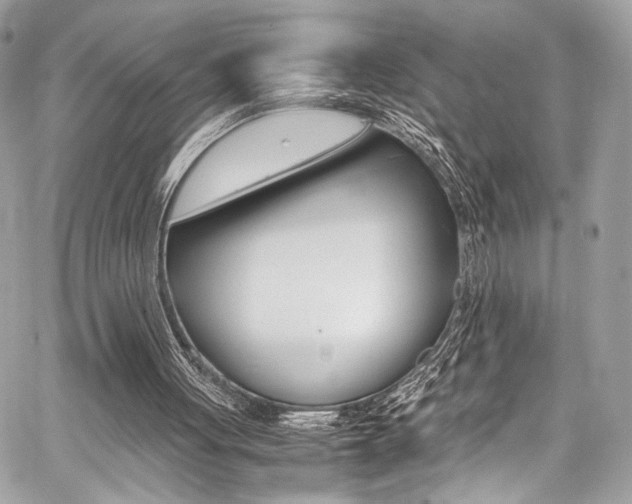 X0000059070051200510070916