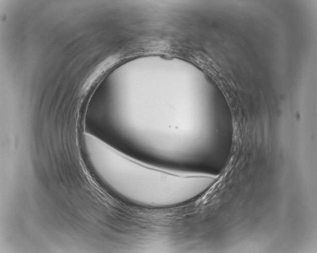 X0000059070054200510070916