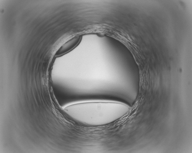 X0000059070100200510070916