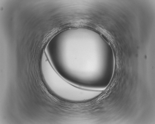 X0000059070105200510070916