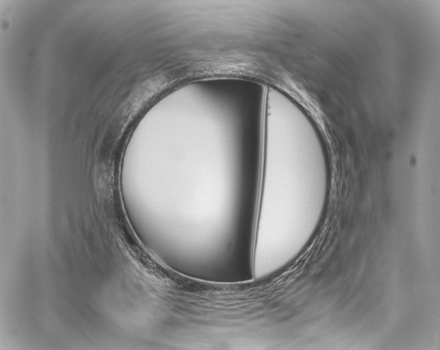 X0000059070107200510070916