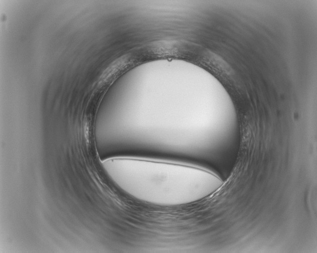 X0000059070124200510070915
