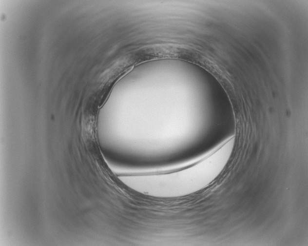 X0000059070141200510070915