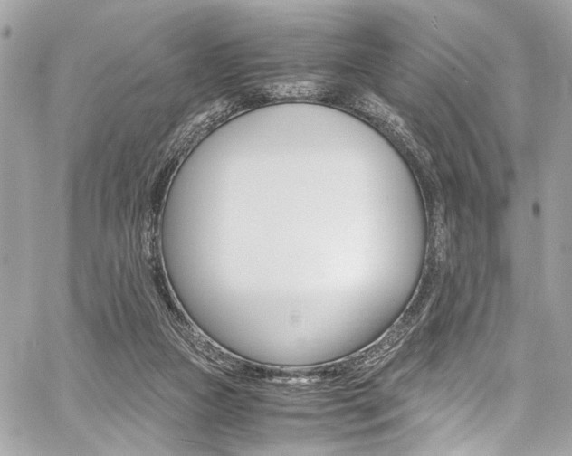 X0000059070161200510070914
