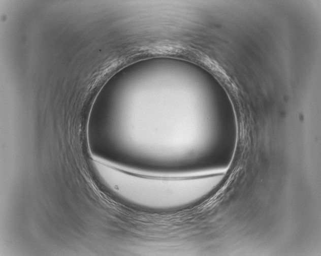 X0000059070201200510070914