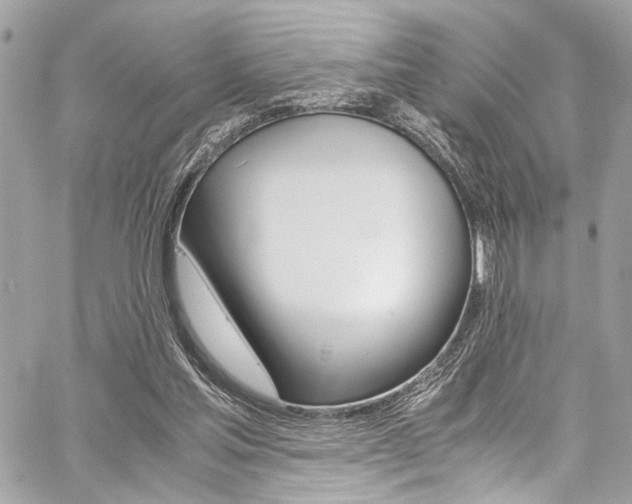 X0000059070205200510070914