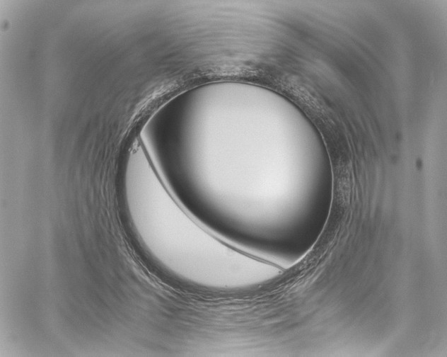 X0000059070207200510070914