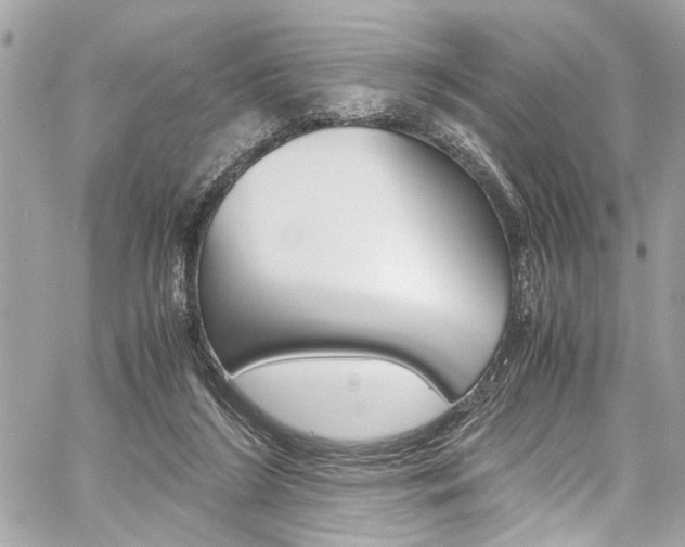 X0000059070212200510070914