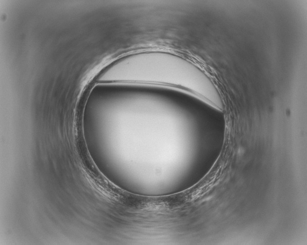 X0000059070248200510070913