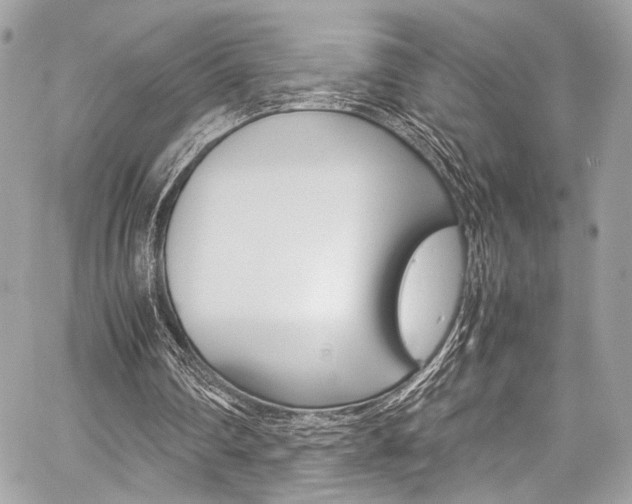 X0000059070290200510070913