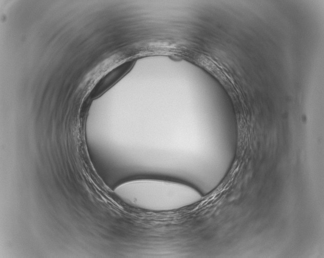 X0000059070338200510070911