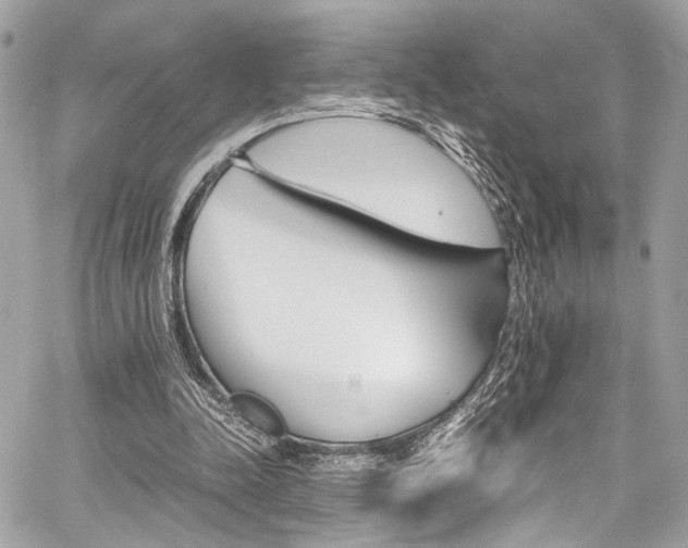 X0000059070342200510070911