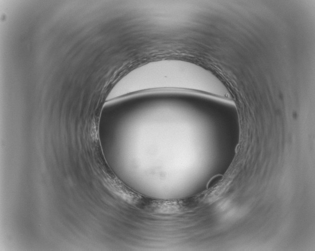 X0000059070384200510070912