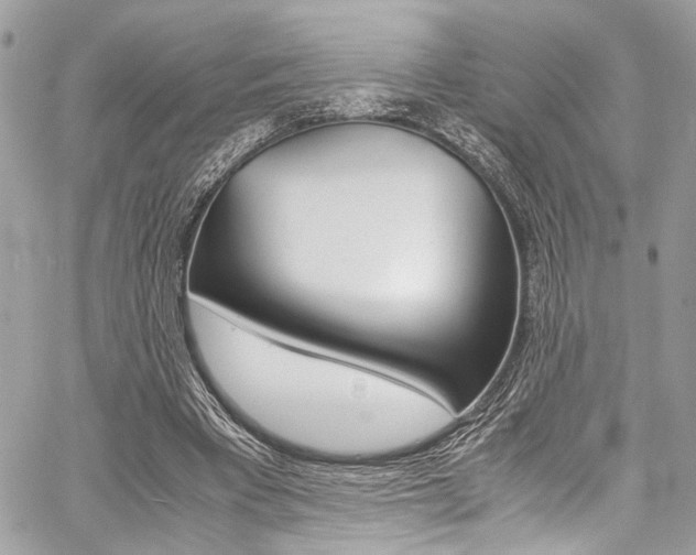 X0000059070393200510070911