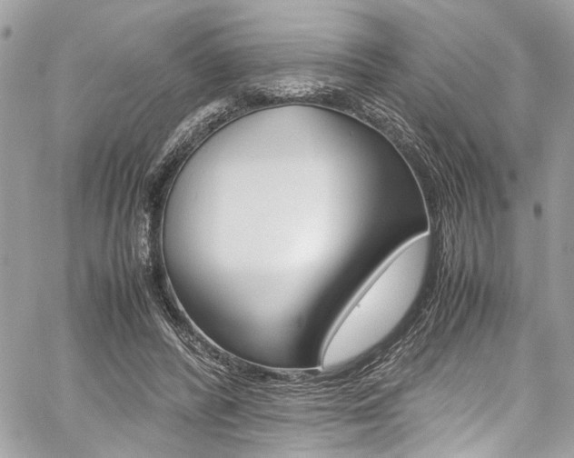 X0000059070400200510070911