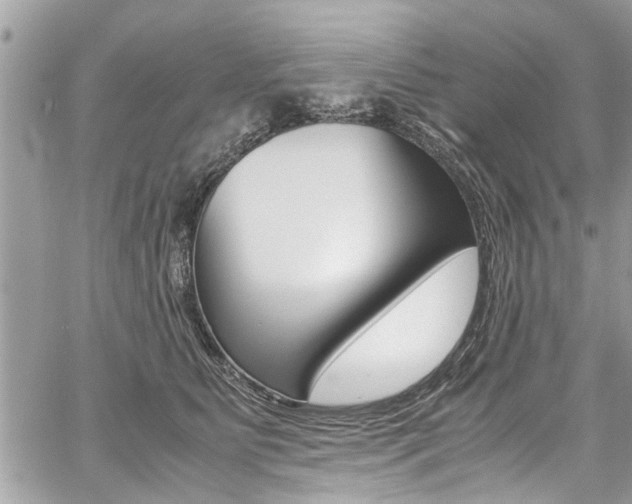 X0000059070515200510070909