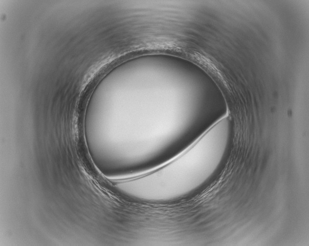 X0000059070676200510070906