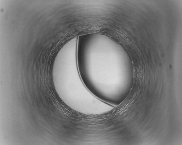 X0000059070818200510070903