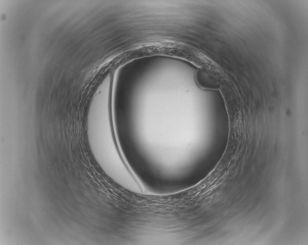 X0000059070822200510070903