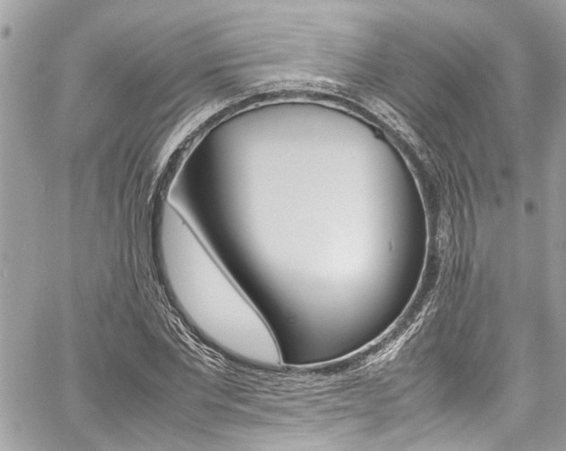 X0000059070877200510070903