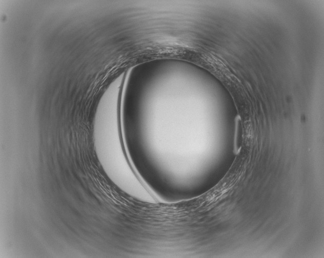 X0000059070916200510070901